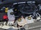 2024 Jeep Grand Cherokee 4xe 4x4
