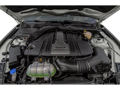 2019 Ford Mustang GT Premium Fastback